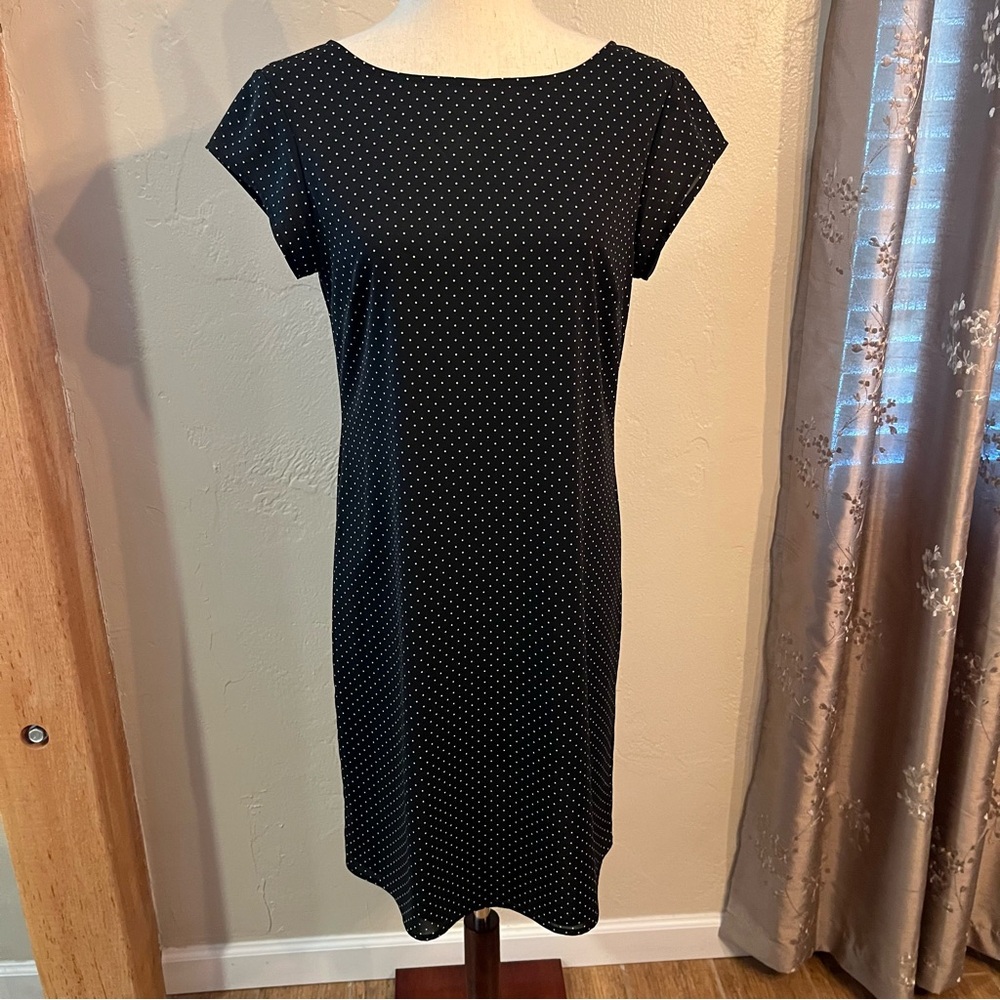 The Limited Size 6 Polka Dot Black Sheath Mini Dress